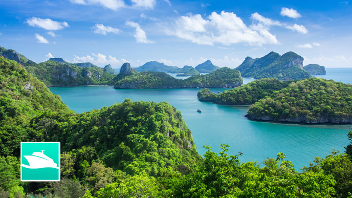 Landschaft und Vegetation auf Koh Samui